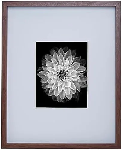 Miniatura 21 de Mikasa Wood Gallery - Marco de pared de 15 x 15 pulgadas, mate a 5 x 7, 16 x 1.57 x 16 pulgadas, nogal