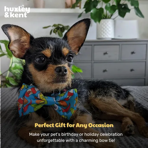 Miniatura 9 de Huxley & Kent Pajarita para mascotas Cinco de Mayo Velcro Bow Tie Collar Accesorio Divertidas pajaritas para perros y gatos Bonita, cómoda
