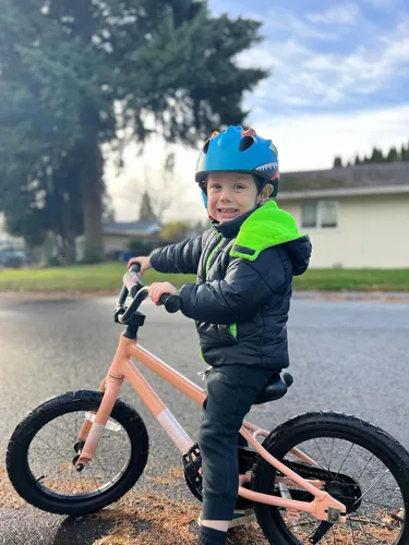 Miniatura 2 de Toddler Helmet Kids Bike Helmet for 2 3 4 5 6 7 8 Years Old Girls with 3D Dinosaur Design Protective Gear Set and Safety Certified, Toddler Bike