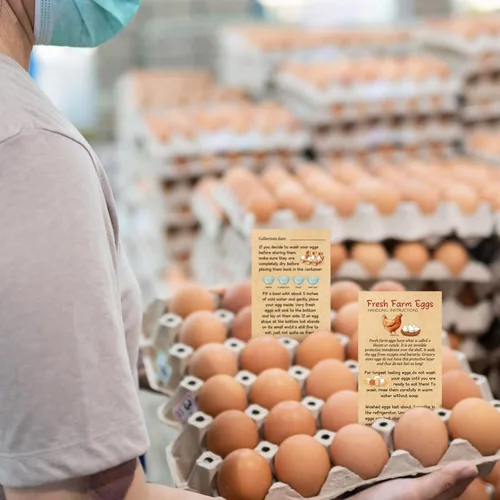 Miniatura 7 de Kisston 200 Piezas Tarjetas de Instrucciones de Manejo de Huevos Frescos de Granja 2 x 3.5'' Sello de Cartón de Huevos de Navidad Tarjetas