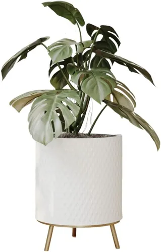 Miniatura 9 de EverNest Claire - Maceta blanca neutra de panal con soporte Nyra, macetas de interior, SelectBase, estilo bohemio moderno de mediados de siglo