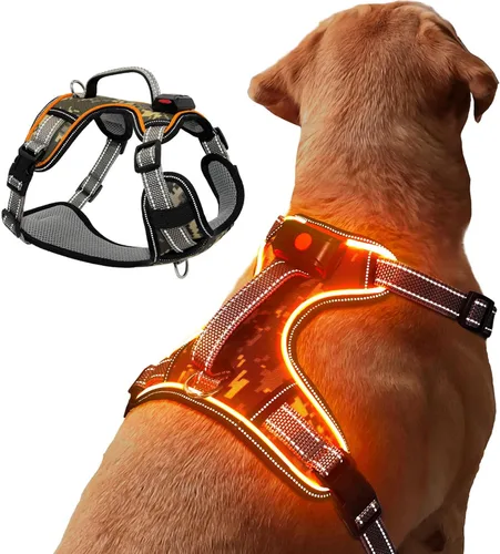 Miniatura 10 de Arnés para perro con luz LED para caminar de forma segura por la noche, chaleco de malla suave que brilla en la oscuridad, chaleco para perros