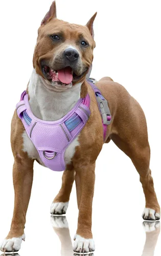 Miniatura 16 de BARKBAY Arnés para Perro Sin Tirones Talla Grande Arnés Reflectante para Perro con Clip Frontal y Asa de Control Fácil para Caminar Entrenar Correr