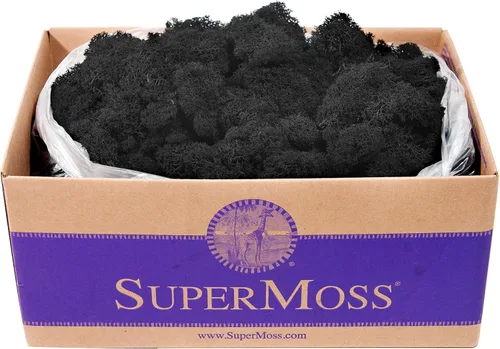 Miniatura 9 de Super Moss 21669 - Musgo de reno preservado, Chartreuse, 8 onzas (200 pulgadas cúbicas)