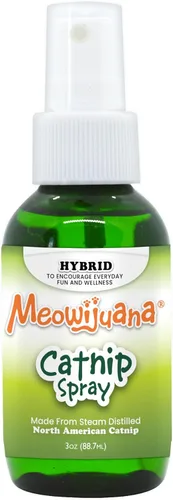 Meowijuana Spray de hierba gatera de alta calidad, fórmula de alta potencia, fórmula natural para dueños de mascotas y hogares con varios gatos,