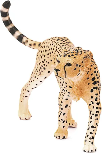 Miniatura 5 de Schleich Wild Life, figura de animal, juguetes de animales para niños y niñas de 3 a 8 años, guepardo femenino, a partir de 3 años