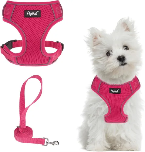 Miniatura 34 de PUPTECK Juego de arnés y correa para perro pequeño, arnés ajustable sin tirones para cachorro, chaleco de malla suave reflectante para mascotas