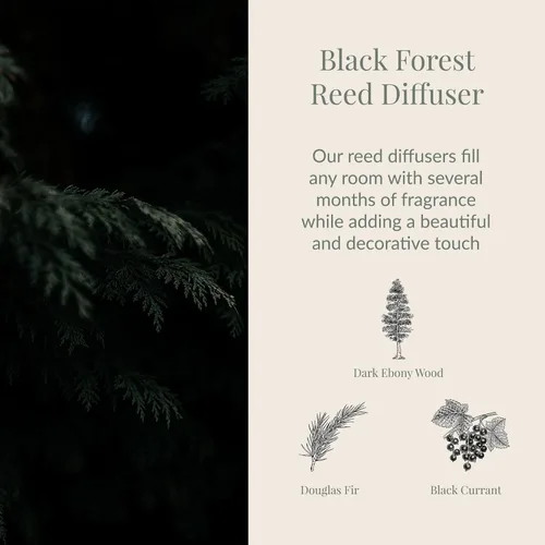 Miniatura 3 de Archipelago Botanicals - Difusor de varillas de fragancia del Bosque Negro, difusor de fragancia para el hogar, incluye aceite de fragancia, tapa