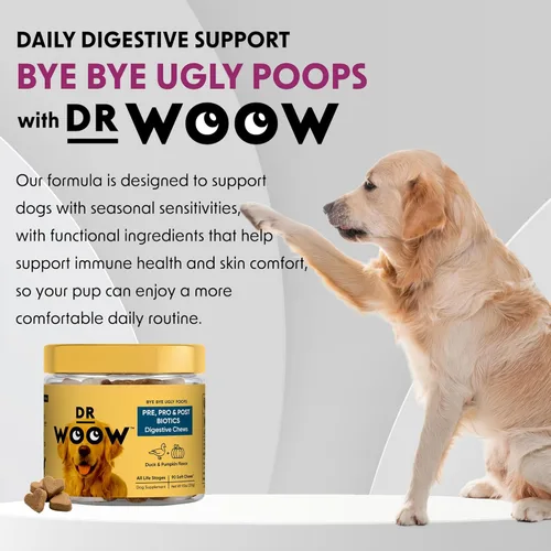 Miniatura 9 de Suplementos probióticos para perros masticables suaves (90 unidades) – Apoyo digestivo + equilibrio intestinal y apoyo de heces saludables
