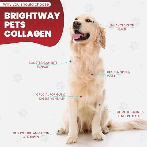 Miniatura 7 de Colágeno alimentado con pasto para perros, apoya la salud de la piel y el pelaje, la cadera, el cuidado de las articulaciones y el soporte