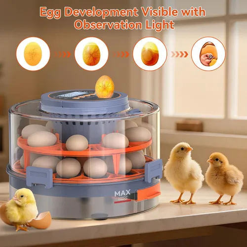 Miniatura 4 de Incubadora de huevos para incubar 18 huevos con giro automático, sensor de humedad, 5 modos preestablecidos, tapa transparente para observación