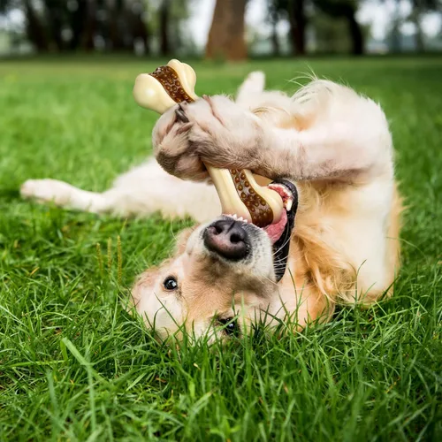 Miniatura 6 de Sosation Juguetes para perros en forma de huesos para masticadores agresivos, paquete de 2 juguetes navideños para masticar perros, dentición
