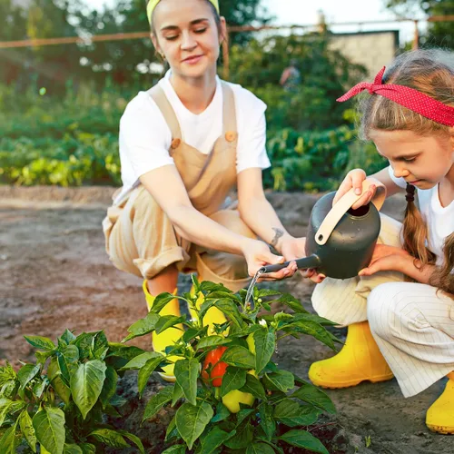 Miniatura 7 de Más de 600 semillas de pimiento, semillas de vegetales autóctonas para plantar interior y exterior, kit de jardín con 10 variedades de semillas