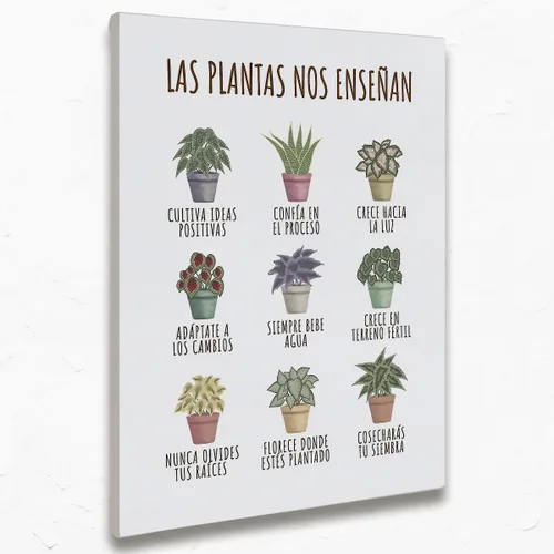 Lienzo decorativo para pared con texto en inglés «What Plants Teach Us en español para salud mental», pinturas de póster positivas, obras de arte de