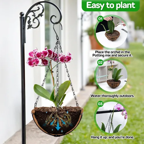 Miniatura 7 de QCQHDU Paquete de 2 cestas colgantes de metal de 10 pulgadas para orquídeas para plantas al aire libre, cesta colgante de orquídeas