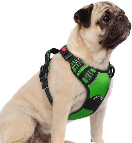 Miniatura 28 de rabbitgoo Arnés para perro de tamaño pequeño, chaleco para perro sin tirones con 3 hebillas, arnés ajustable y acolchado suave para mascotas con asa