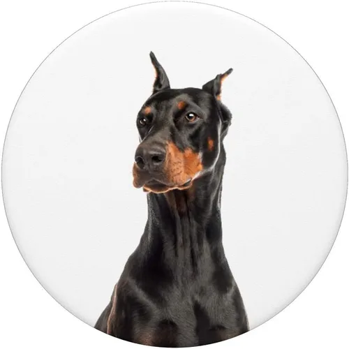 Miniatura 3 de Dobermann, o Doberman Pinscher popsocket agarre y soporte para teléfonos y tabletas, Negro