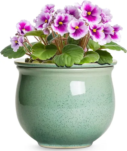 Miniatura 18 de Macetas de riego automático de 6 pulgadas para plantas de interior, macetas de cerámica violeta africana con maceta interior absorbente, maceta
