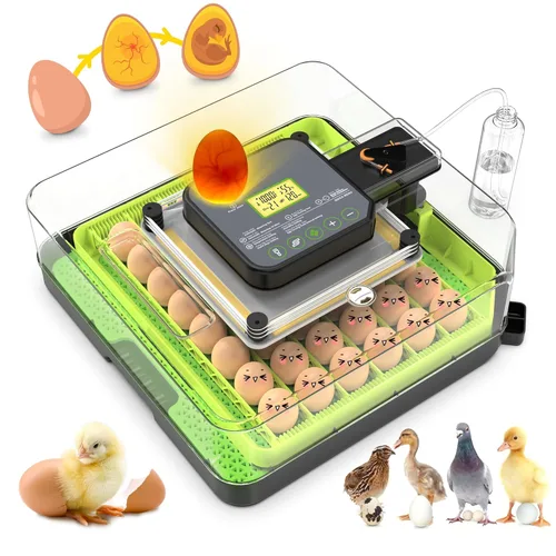 Miniatura 10 de Incubadora de huevos 36-60 con giro automático de huevos y control de humedad, incubadora de huevos de pollo ajustable con pantalla digital