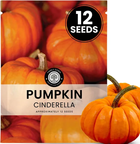 Miniatura 11 de Jack-O'-Lantern - Semillas de calabaza – 25 semillas premium para plantar – Talla clásica y cosecha de otoño variedad para la temporada 2026 – Bolsa