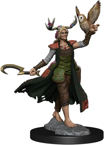 Miniatura 6 de WizKids D&D Frameworks: Mujer druida humana - Sin pintar y sin ensamblar