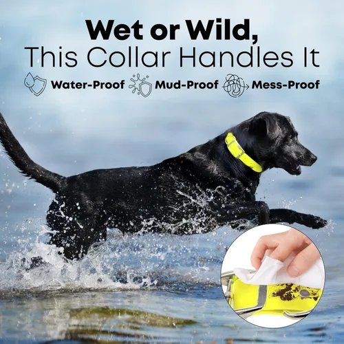 Miniatura 3 de Collar impermeable para perro con anillo central resistente Collar para perros pequeños, medianos, grandes o XL, Amarillo