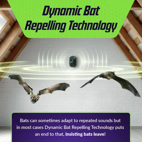 Miniatura 2 de Repelente ultrasónico directo de bates BWZ600 - Con control de frecuencia Bat-ZoneZonic™ para repeler con precisión los murciélagos