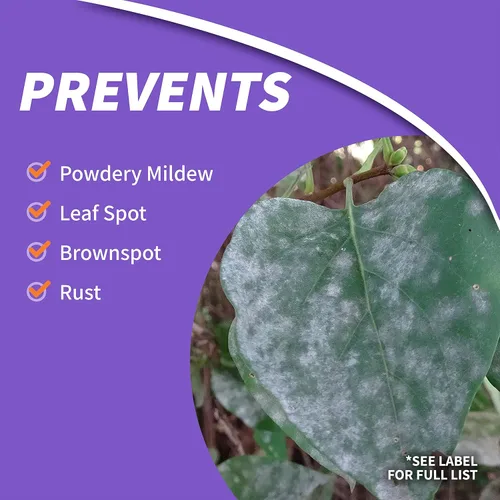 Miniatura 4 de Bonide Protector de árboles frutales y plantas, concentrado de 32 onzas, fungicida, insecticida y miticida multiusos para jardinería doméstica