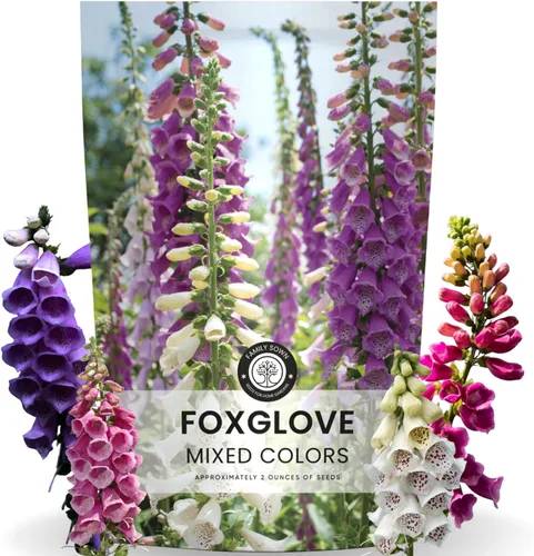 Miniatura 8 de Foxglove - Colores mixtos - 2,000 semillas para plantar - Temporada 2026 - Bolsa de 1/2 onza