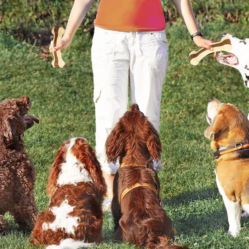 Miniatura 7 de Juguetes para perros para masticadores agresivos, paquete de 2 huesos duraderos de nailon para perros con sabor a carne real para razas grandes