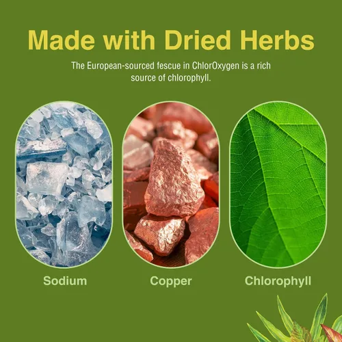 Miniatura 6 de Herbs Etc. ChlorOxygen - Gotas de limonada – 50 mg de clorofila – Apoyo de energía y vitalidad – 1 onza líquida (66 porciones)