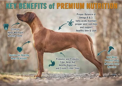 Miniatura 3 de Chicken Soup for The Soul All Natural Premium - Alimento seco para perros sin granos para toda la vida, primer ingrediente de carne real, sin
