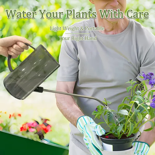 Miniatura 2 de Qilebi - Regadera pequeña con boquilla larga de acero inoxidable para flores de plantas de interior/casa, jardín, 34 onzas (1 litro)