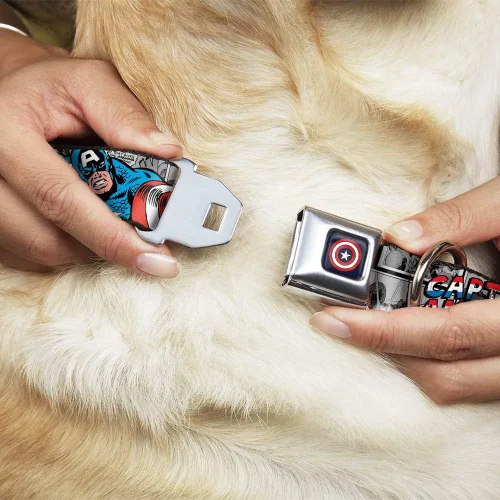 Miniatura 8 de Collar de perro con hebilla de cinturón de seguridad Capitán América 2 Poses Comic Blocks Grises Rojo Blanco Azul 9 a 15 pulgadas 1.0 pulgadas