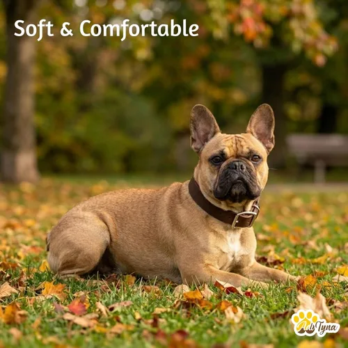 Miniatura 4 de ADITYNA Collar de cuero para perros pequeños, clásico, suave, fuerte, resistente, hecho a mano, cuero de grano superior, para caminar, entrenar