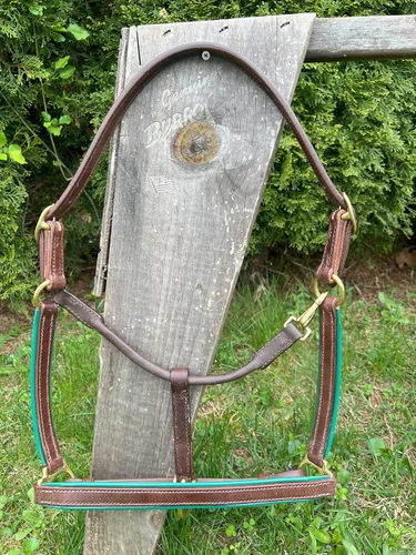 Miniatura 4 de Leaders - Cabestro de cuero de 3/4 pulgadas para caballos con placa de identificación grabada personalizada, halter de cuero con placa de nombre