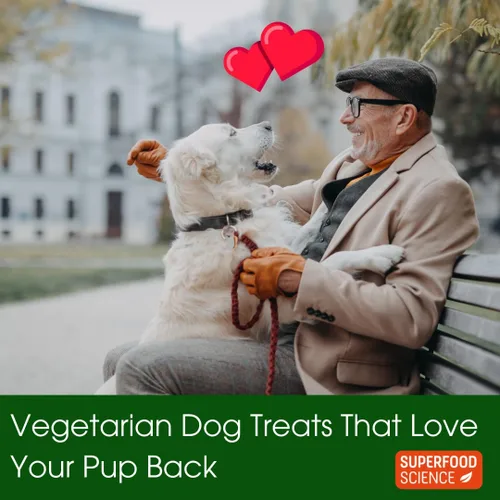 Miniatura 3 de Golosinas hipoalergénicas saludables para perros: aperitivos vegetarianos a base de plantas para perros con algas marinas, batata, chía, linaza