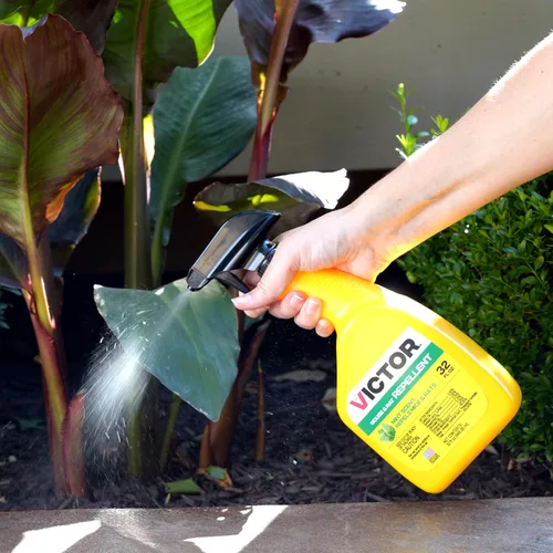 Miniatura 10 de Victor M809 - Aerosol repelente de ratones y ratas, natural, no tóxico, repelente de roedores para uso en interiores y exteriores, listo para usar