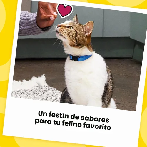Miniatura 10 de Temptations MixUps Golosinas crujientes y suaves para gatos, sabor fiebre de hierba gatera, 30 onzas