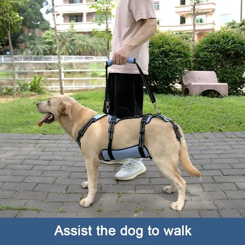 Miniatura 3 de Arnés de elevación para perros Coodeo, soporte completo del cuerpo y correa de recuperación, chaleco de elevación para rehabilitación de mascotas