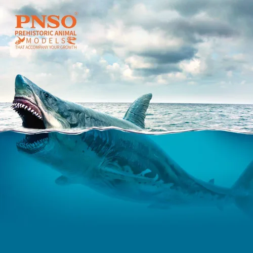 Miniatura 2 de PNSO Animal marino (Patton El Megalodon (tiburón blanco grande) 13")