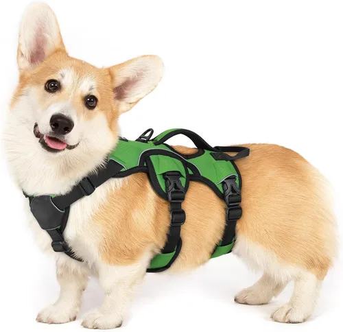 Miniatura 37 de rabbitgoo - Arnés para perro a prueba de fugas, arnés para mascotas acolchado suave de cuerpo completo, chaleco reflectante ajustable sin tirones