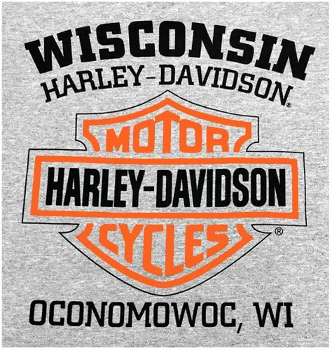 Miniatura 2 de Harley-Davidson Sudadera con capucha para hombre, color gris 30296627, Gris (Sport Gray)
