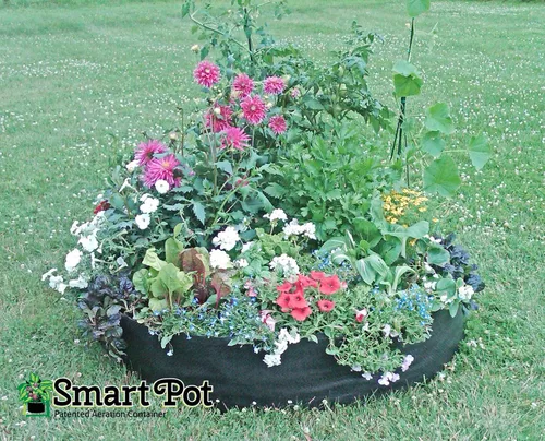 Miniatura 2 de Smart Pot 100511247 Big Bag - Cama elevada de tela, original, color negro (paquete de 5)