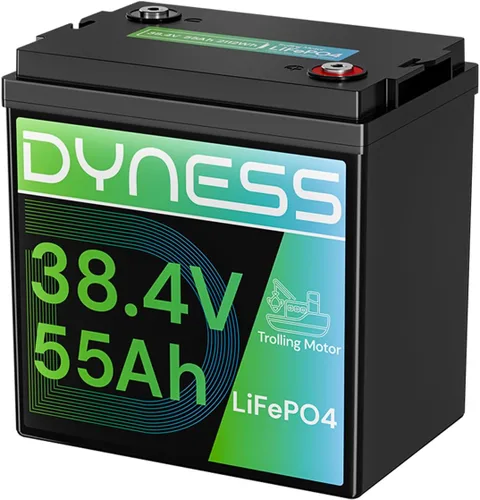 Miniatura 13 de Dyness Batería LiFePO4 de 24 V 100 Ah, batería de litio de 25.6 V con potencia de 2560 Wh, BMS integrado de 100 A con protección a baja temperatura
