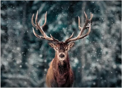 Miniatura 7 de MyPuzzle Noble Deer in Winter Snow Forest - Rompecabezas de 100 piezas para adultos