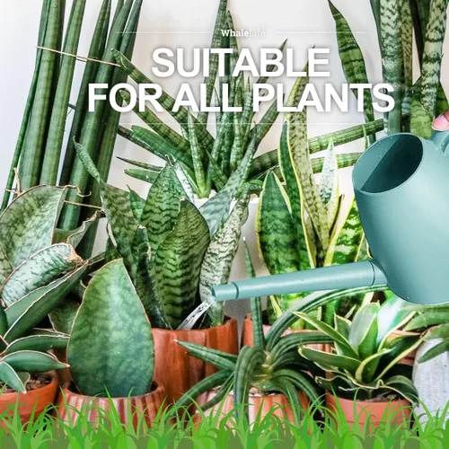 Miniatura 5 de WhaleLife Regadera interior para plantas de bonsái de casa (2.0L, azul)