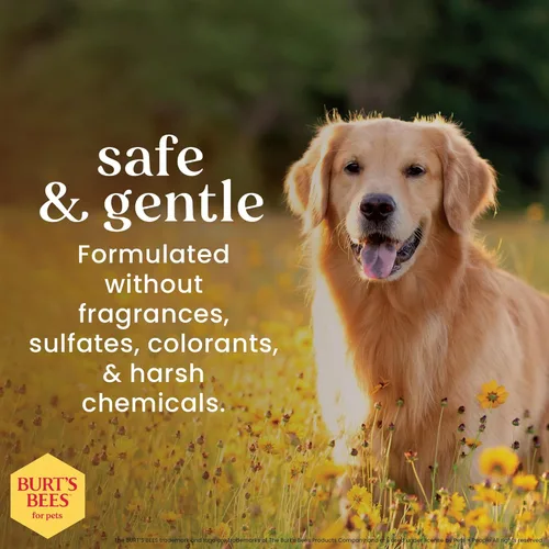 Miniatura 2 de BURT'S BEES FOR PETS Jabón de ojos para perros con solución salina, limpiador suave de ojos para perros y cachorros, enjuague de manchas de lágrimas