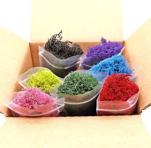 Miniatura 7 de Musgo de reno preservado verde bosque, 2 onzas, para interiores y exteriores, para plantas en maceta, terrarios, jardines de hadas, artes
