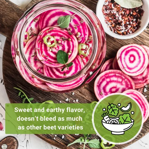 Miniatura 6 de Sow Right Seeds - Semillas de remolacha Chioggia para plantar - Paquete de reliquia sin OMG con instrucciones para plantar y cultivar un huerto